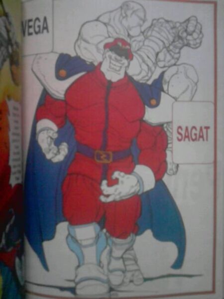 Sagat's Origin 450px-Sagat1