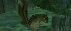 Squirrel (Twilight Princess)