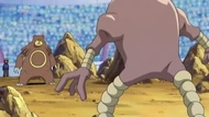 EP653 Hitmonlee vs Ursaring