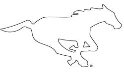 Calgary Stampeders