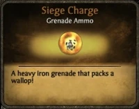 Siege-scharge