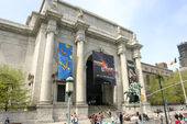Museo Libertonian-realidad