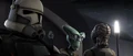 Colt observing.jpg