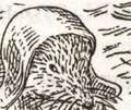 Gurth Longladle.jpg