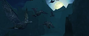 Raven's Cove Load