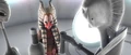 Shaak Ti Kamino.jpg