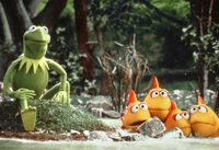 Onmypond.jpg