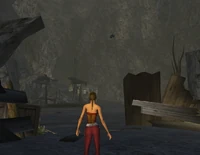 RavensCove4