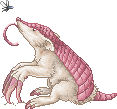 SA.png