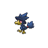 Murkrow NB hembra