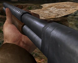 Shotgun aa