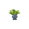 Oddish espalda G5