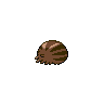 Swinub espalda G5