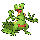 -254 Sceptile