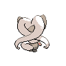 Cinccino espalda G5