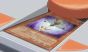 CosmicCompass-JP-Anime-5D