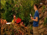 Folge2472-6