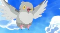EP662 Pidove usando tornado.jpg