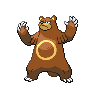 Ursaring NB hembra