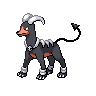 Houndoom NB hembra
