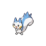 Pachirisu NB hembra