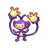 Ambipom NB hembra