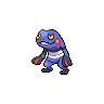 Croagunk NB hembra