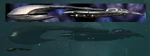 Assault vs Super n comp