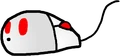 Rodenter