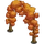Tree Arch 1-icon