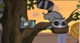 RaccoonOuttaTree