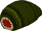 Leech