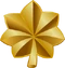 Maj