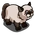 Himalayan Cat-icon
