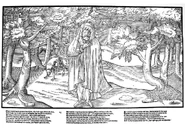Plate-11