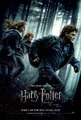 Harry-Potter-and-the-Deathly-Hallows-Part-1-poster.jpg