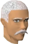 Hobbes chathead.png
