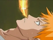Ichigo&UraharaZanp