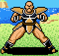 SSDNappa