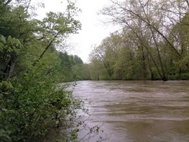 Cowpasture River scene