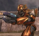 Sangheili Major