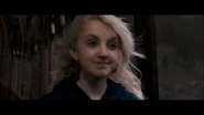 Luna (2)