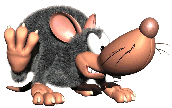 Neek 2