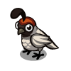 White Quail-icon.png