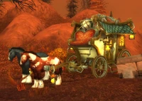 Fiona's Caravan
