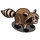 Raccoon
