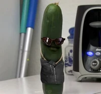 Cucumber