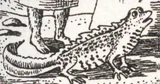 Firl.jpg