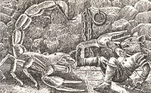 Skrabblag & Flogga.jpg