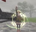 Invisible.PNG